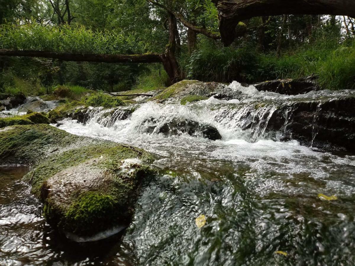 Appartamento Jasionka Ustrzyki Dolne Esterno foto